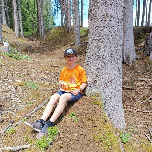 Wald 10